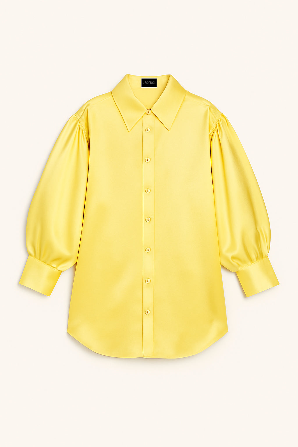 Bishop Sleeve Blouse