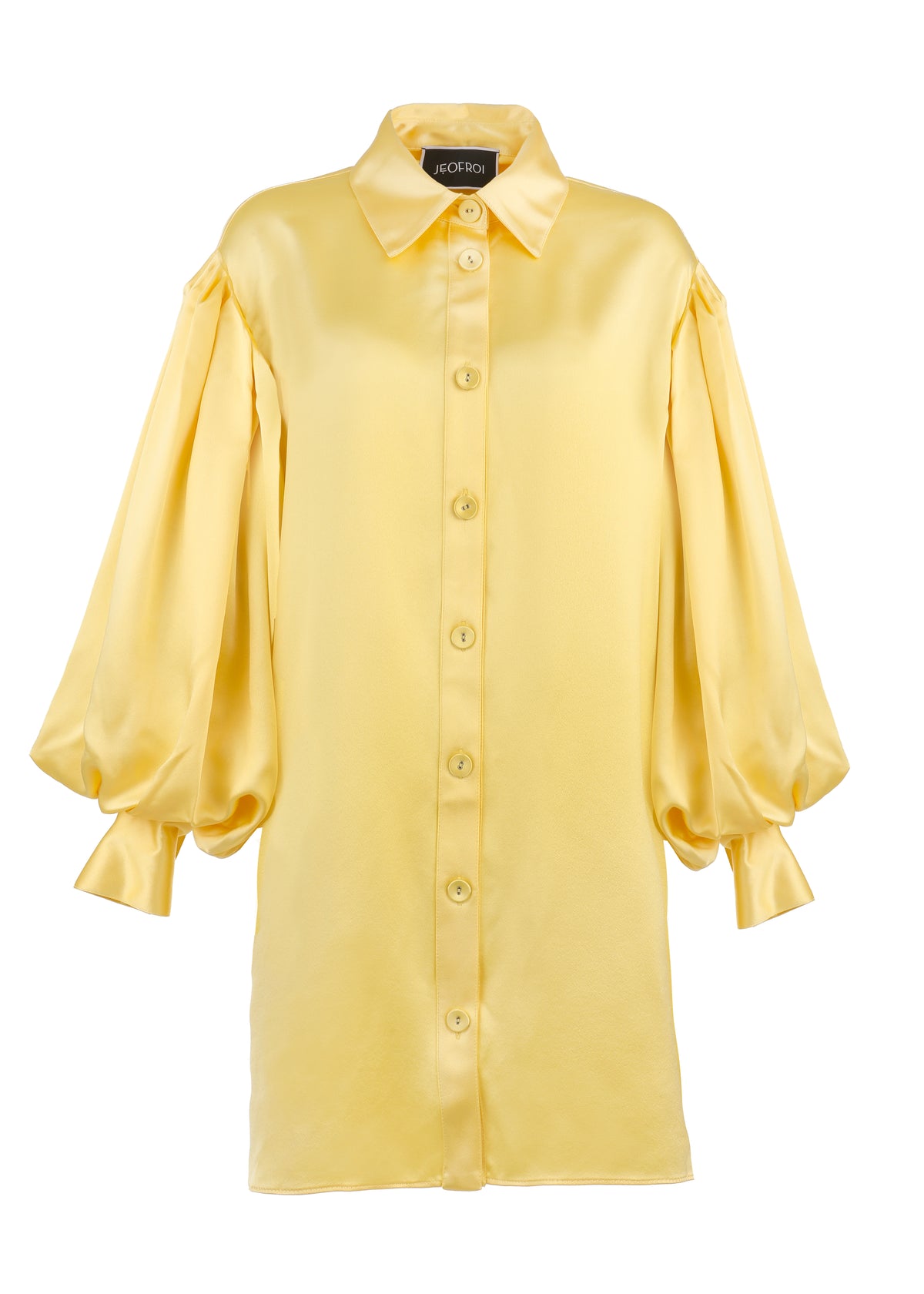 Bishop Sleeve Blouse