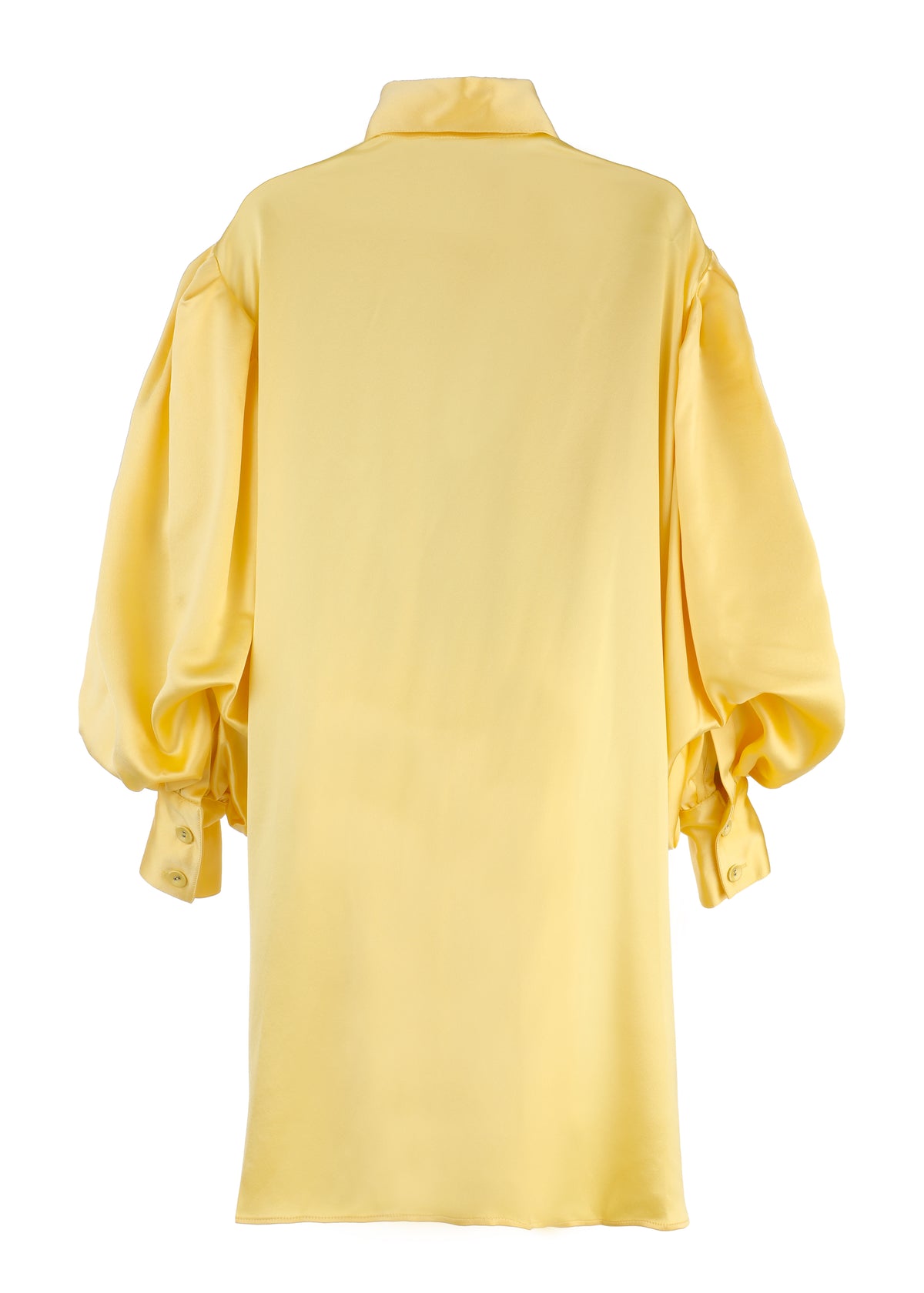 Bishop Sleeve Blouse