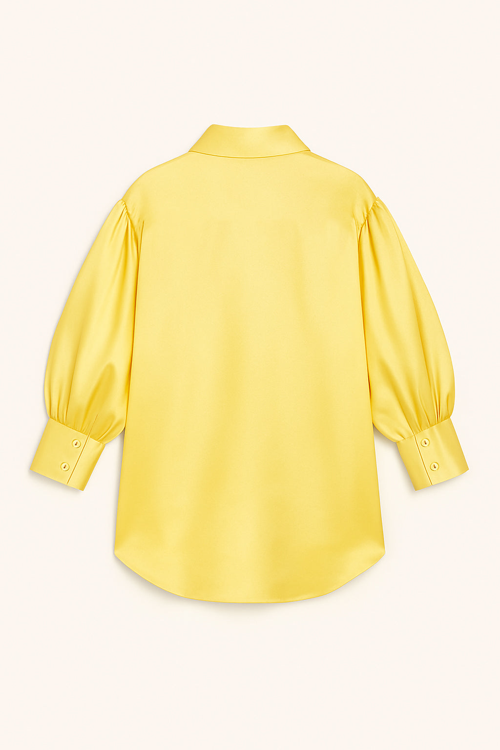 Bishop Sleeve Blouse